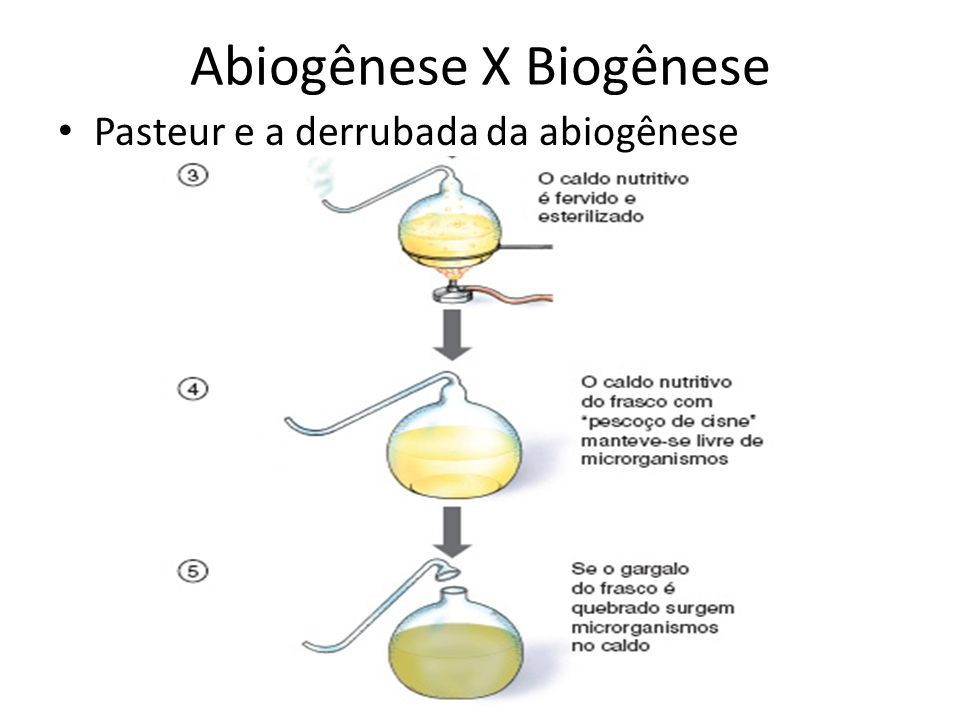 Abiogênese X Biogênese