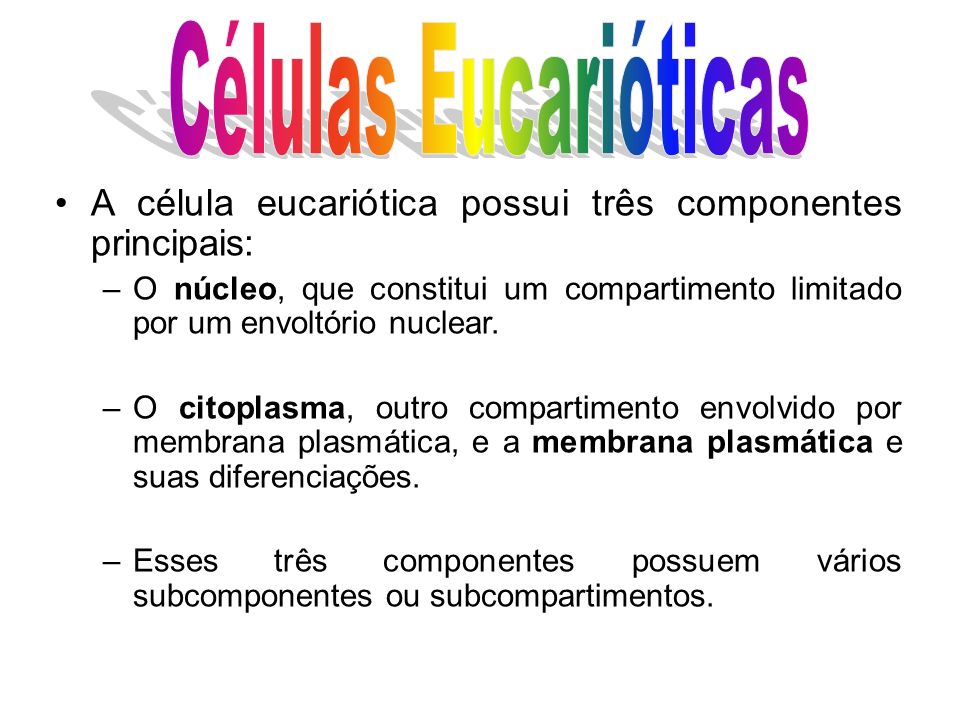 Células Eucarióticas A célula eucariótica possui três componentes principais: