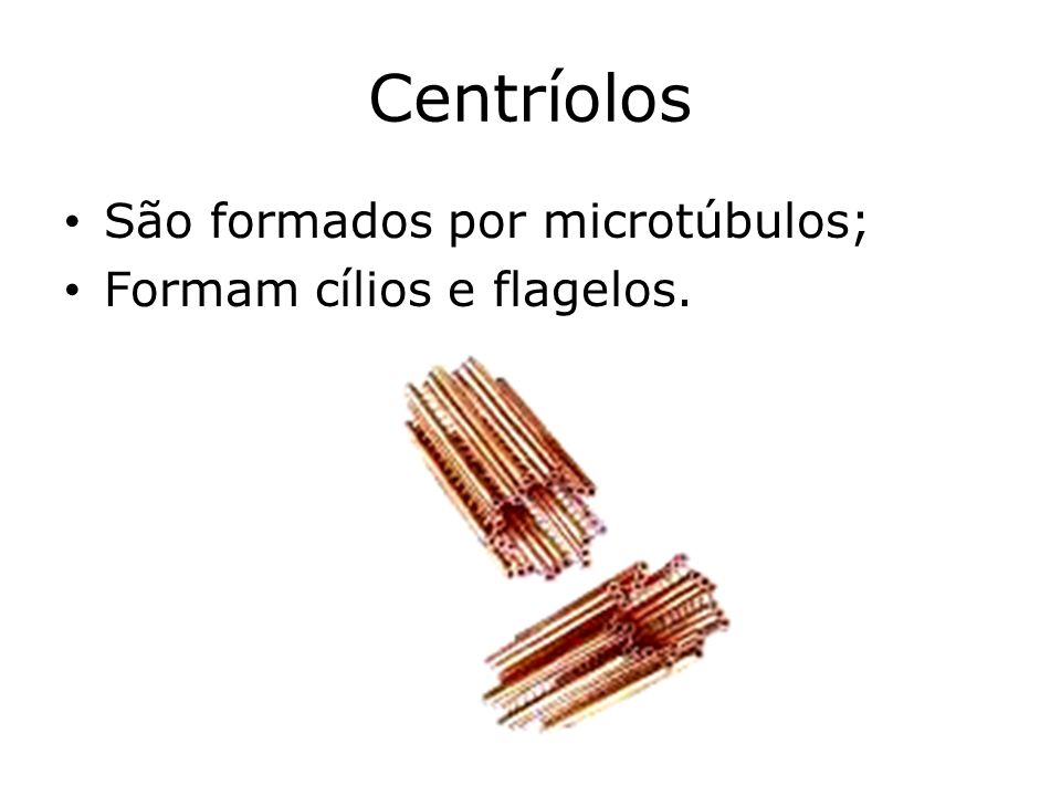 Centríolos São formados por microtúbulos; Formam cílios e flagelos.