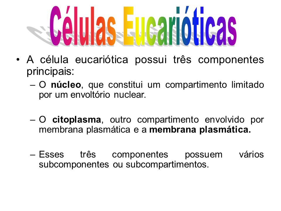 Células Eucarióticas A célula eucariótica possui três componentes principais: