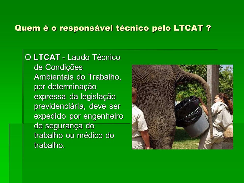 Quem é o responsável técnico pelo LTCAT