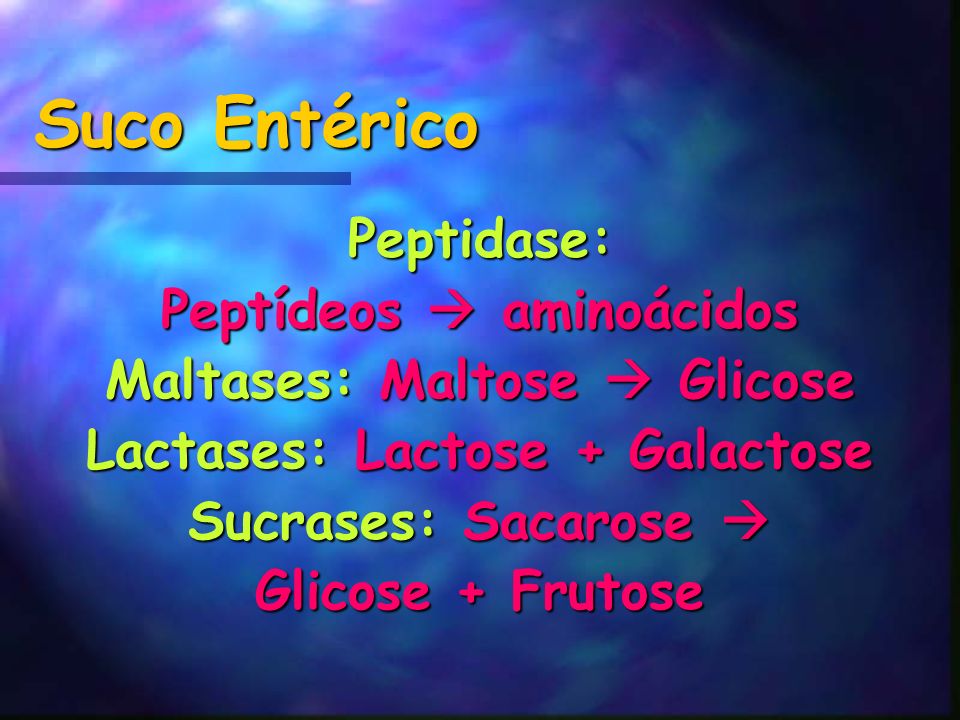 Suco Entérico Peptidase: Peptídeos  aminoácidos