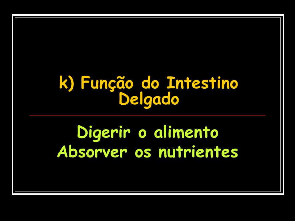 k) Função do Intestino Delgado