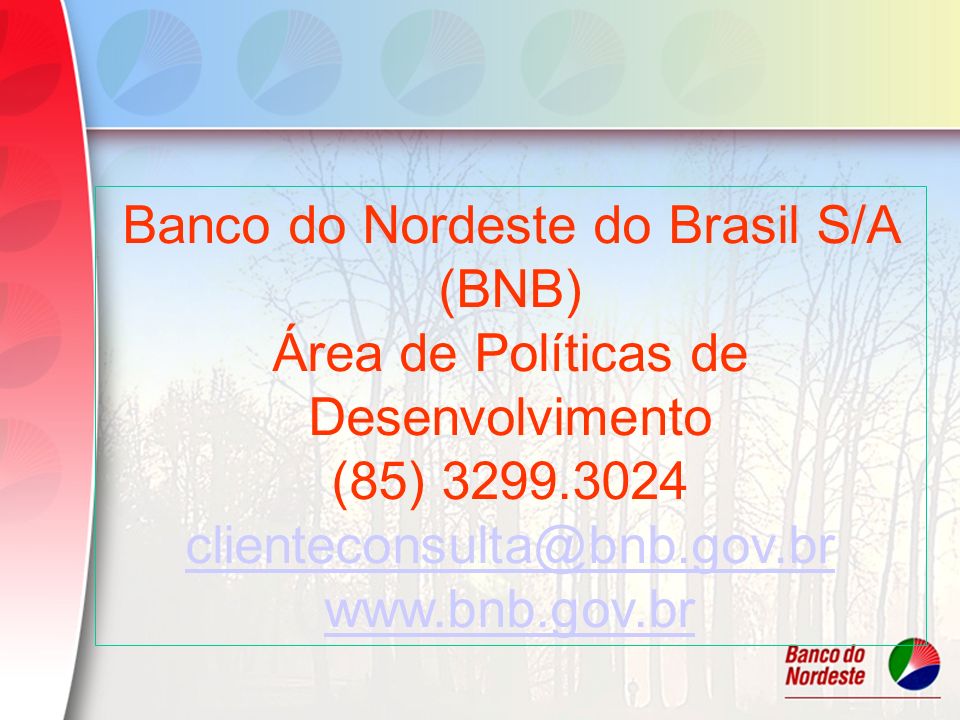 Banco do Nordeste do Brasil S/A (BNB)