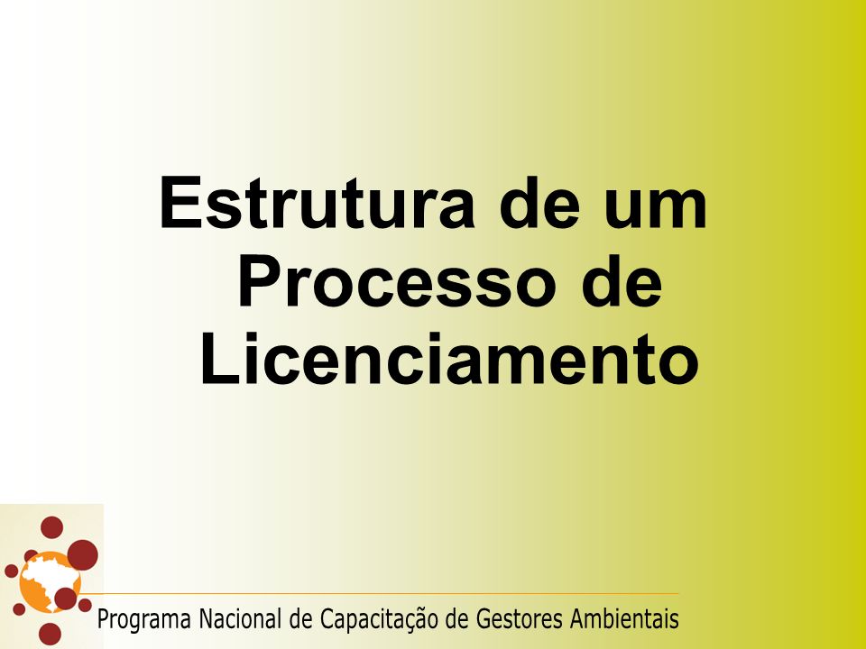 Estrutura de um Processo de Licenciamento