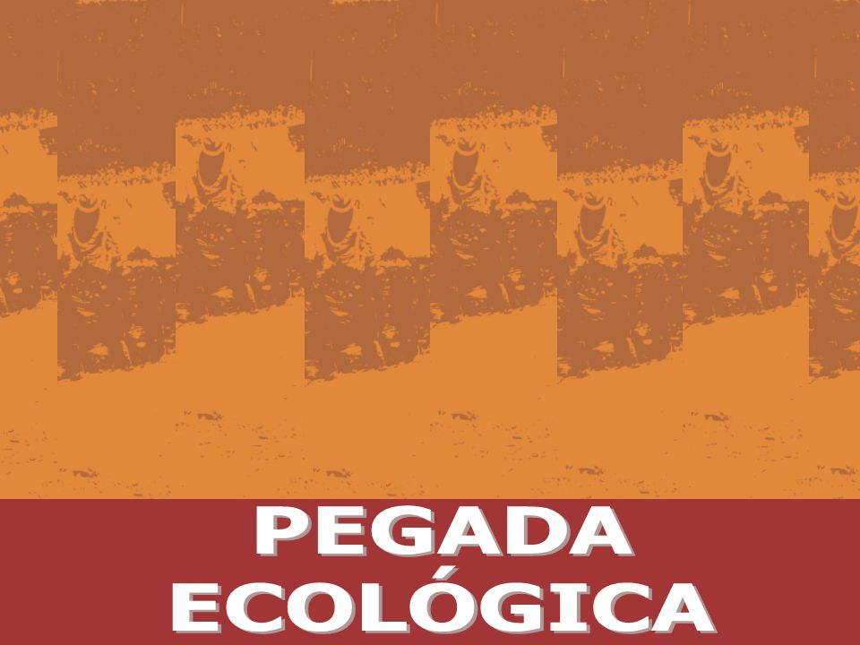 PEGADA ECOLÓGICA