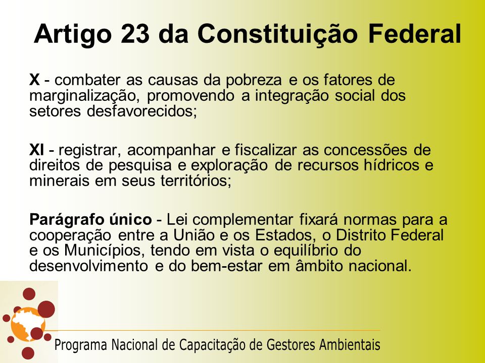 Artigo 23 da Constituição Federal