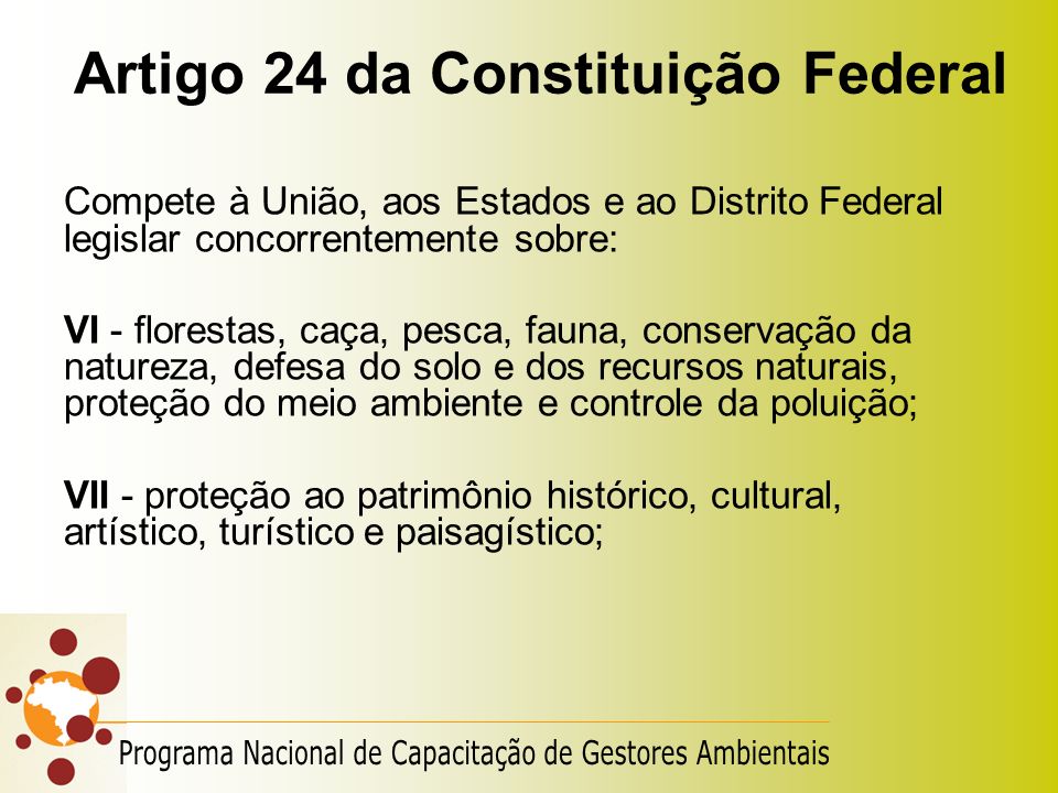 Artigo 24 da Constituição Federal