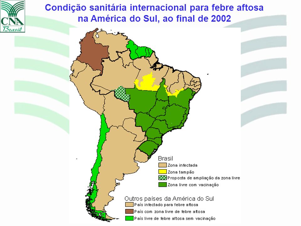Condição sanitária internacional para febre aftosa na América do Sul, ao final de 2002