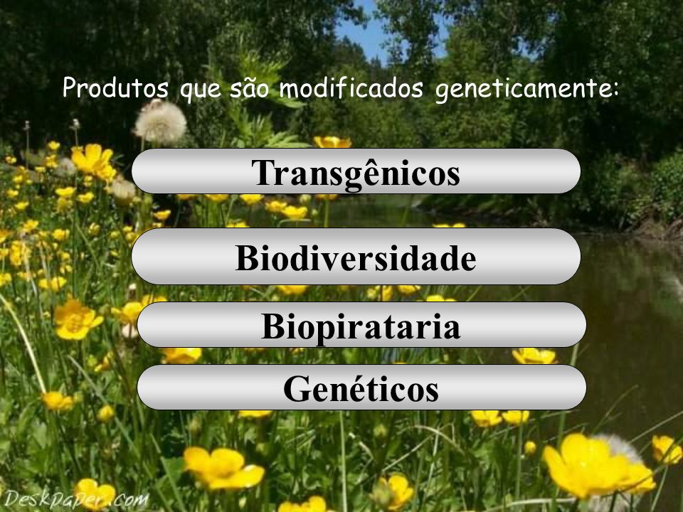 Produtos que são modificados geneticamente: