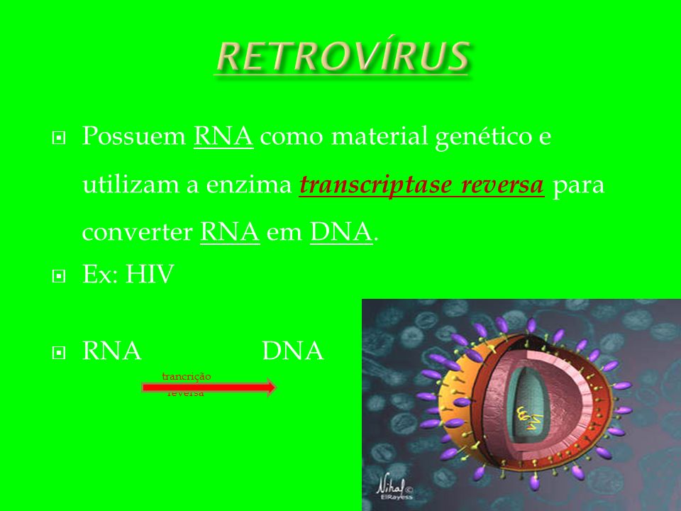 RETROVÍRUS Possuem RNA como material genético e utilizam a enzima transcriptase reversa para converter RNA em DNA.