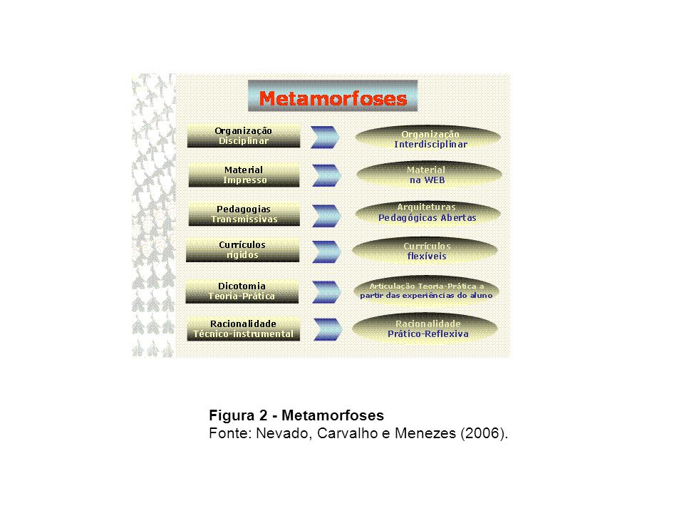 Figura 2 - Metamorfoses Fonte: Nevado, Carvalho e Menezes (2006).