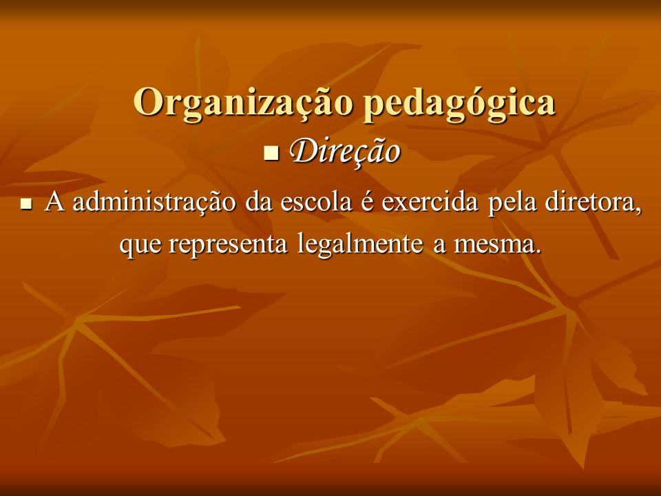 Organização pedagógica