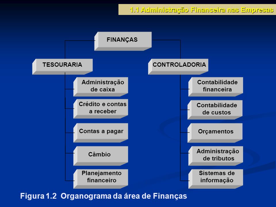 Figura 1.2 Organograma da área de Finanças