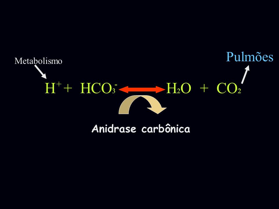 Pulmões Metabolismo H + HCO3 H2O + CO2 + - Anidrase carbônica