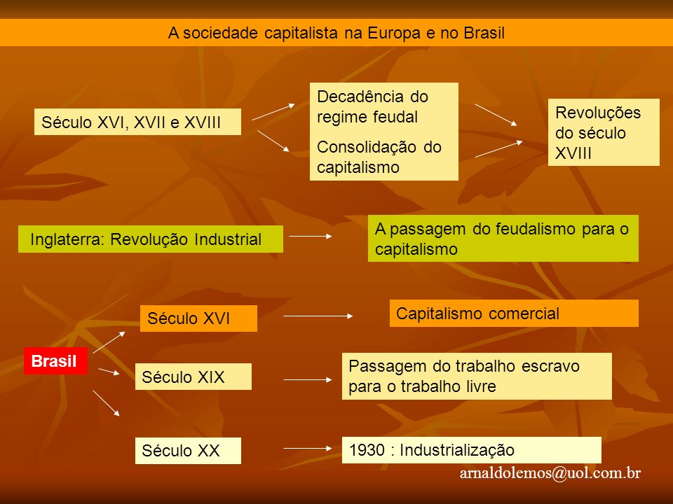 A sociedade capitalista na Europa e no Brasil