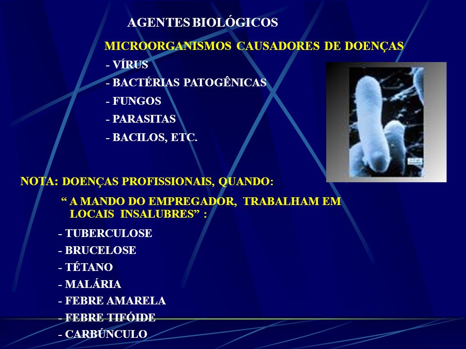 AGENTES BIOLÓGICOS MICROORGANISMOS CAUSADORES DE DOENÇAS