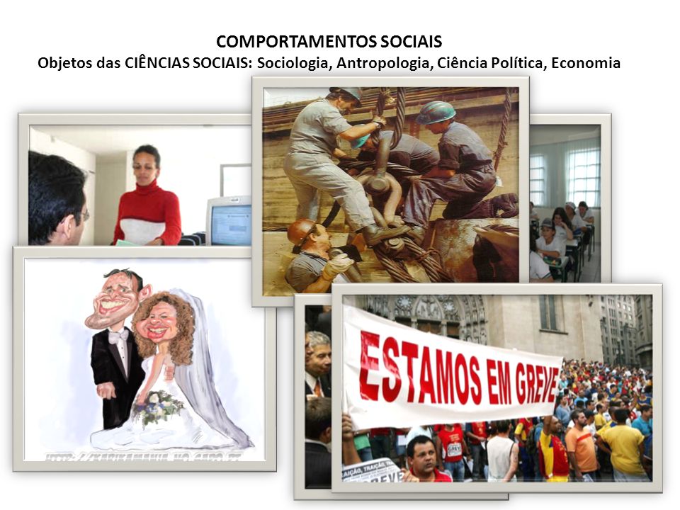 COMPORTAMENTOS SOCIAIS