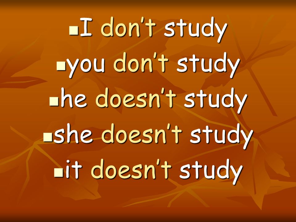 I don’t study you don’t study he doesn’t study she doesn’t study it doesn’t study