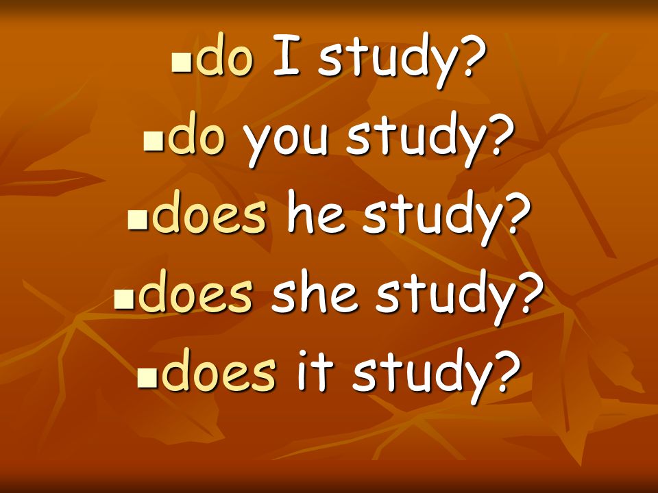 do I study do you study does he study does she study does it study