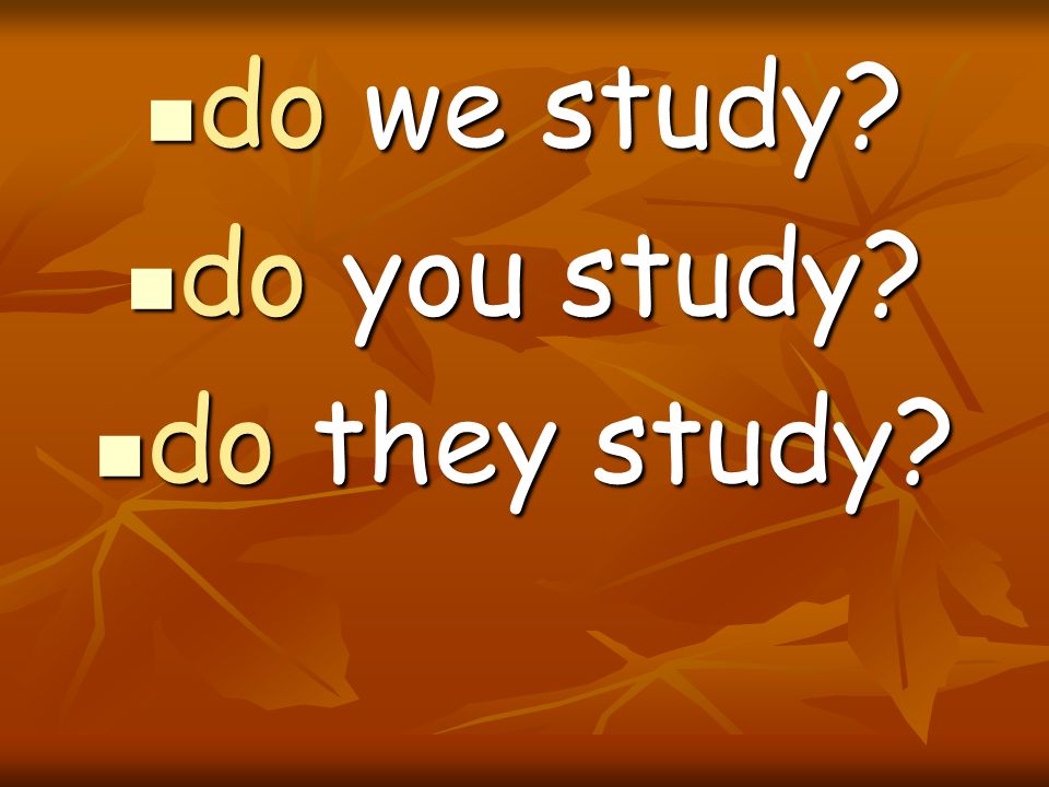 do we study do you study do they study