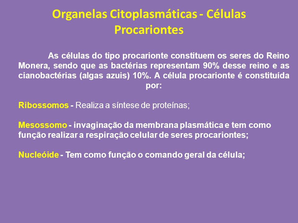 Organelas Citoplasmáticas - Células Procariontes
