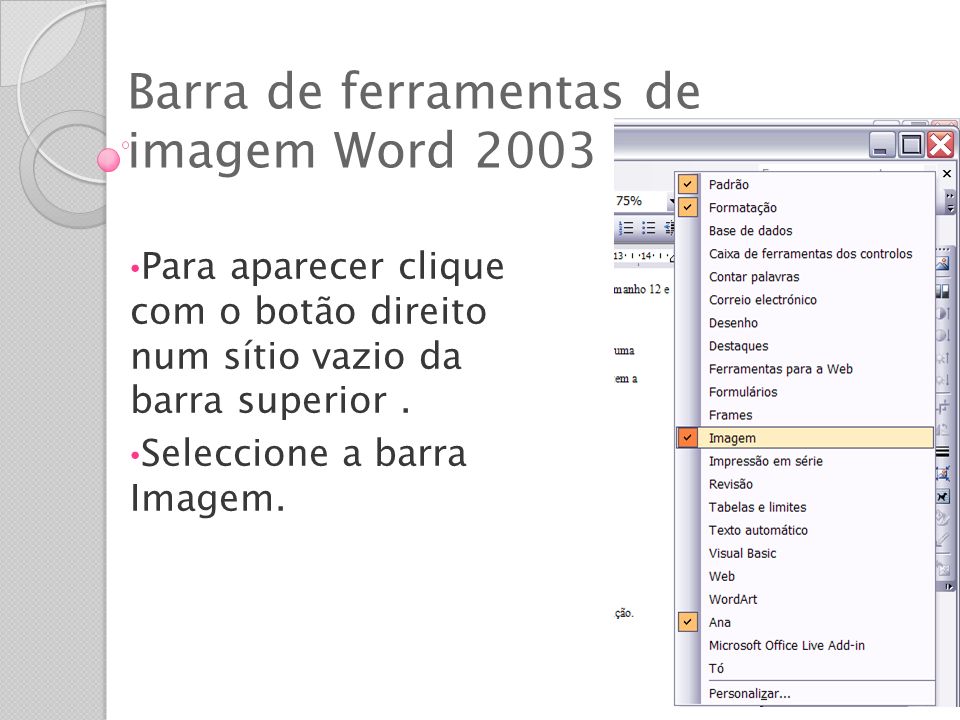 Barra de ferramentas de imagem Word 2003