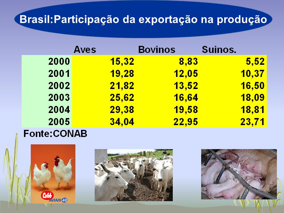 Brasil:Participação da exportação na produção