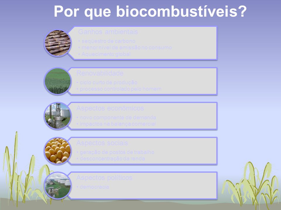 Por que biocombustíveis