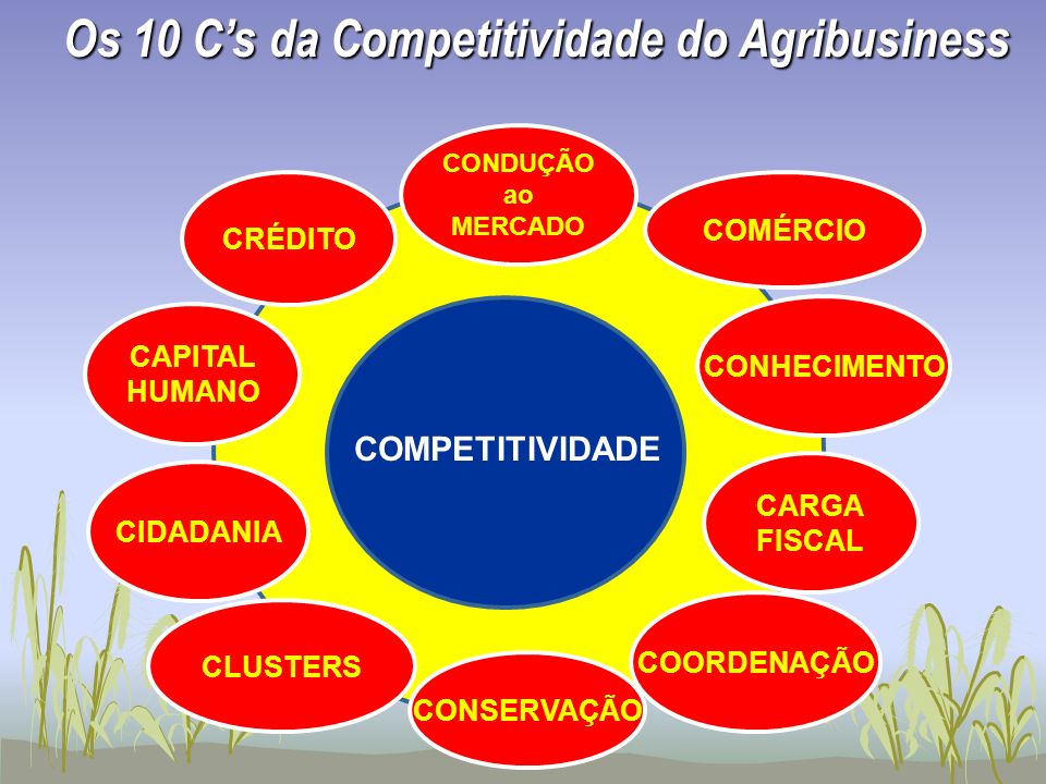 Os 10 C’s da Competitividade do Agribusiness