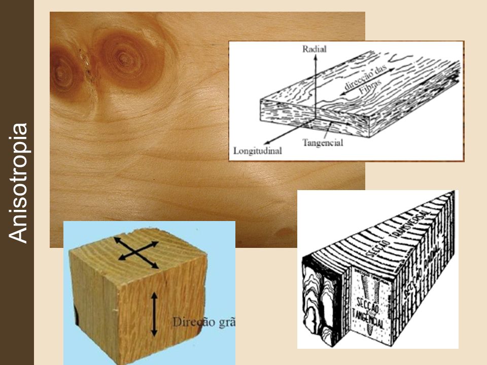 Madeira como material de construção - ppt carregar