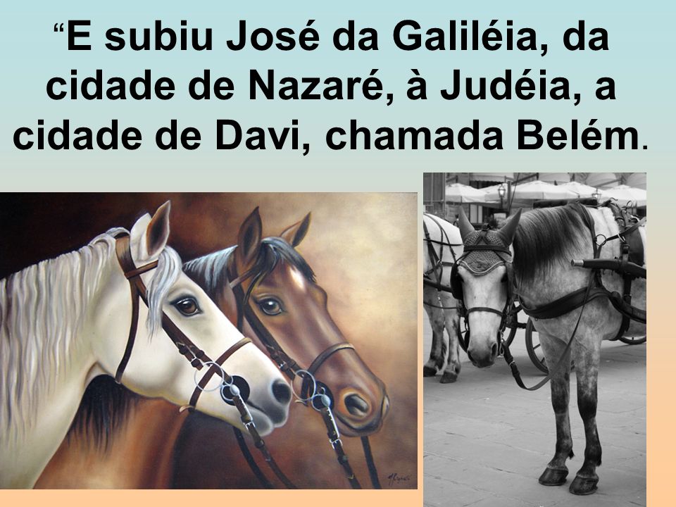 E subiu José da Galiléia, da cidade de Nazaré, à Judéia, a cidade de Davi, chamada Belém.