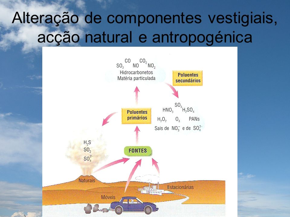 Alteração de componentes vestigiais, acção natural e antropogénica