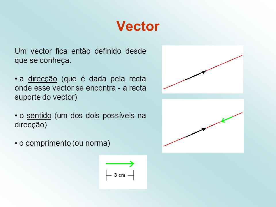 Vector Um vector fica então definido desde que se conheça: