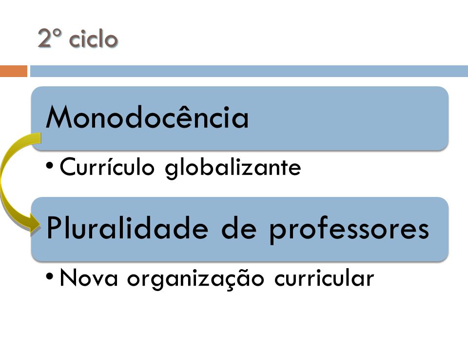 2º ciclo Monodocência Currículo globalizante
