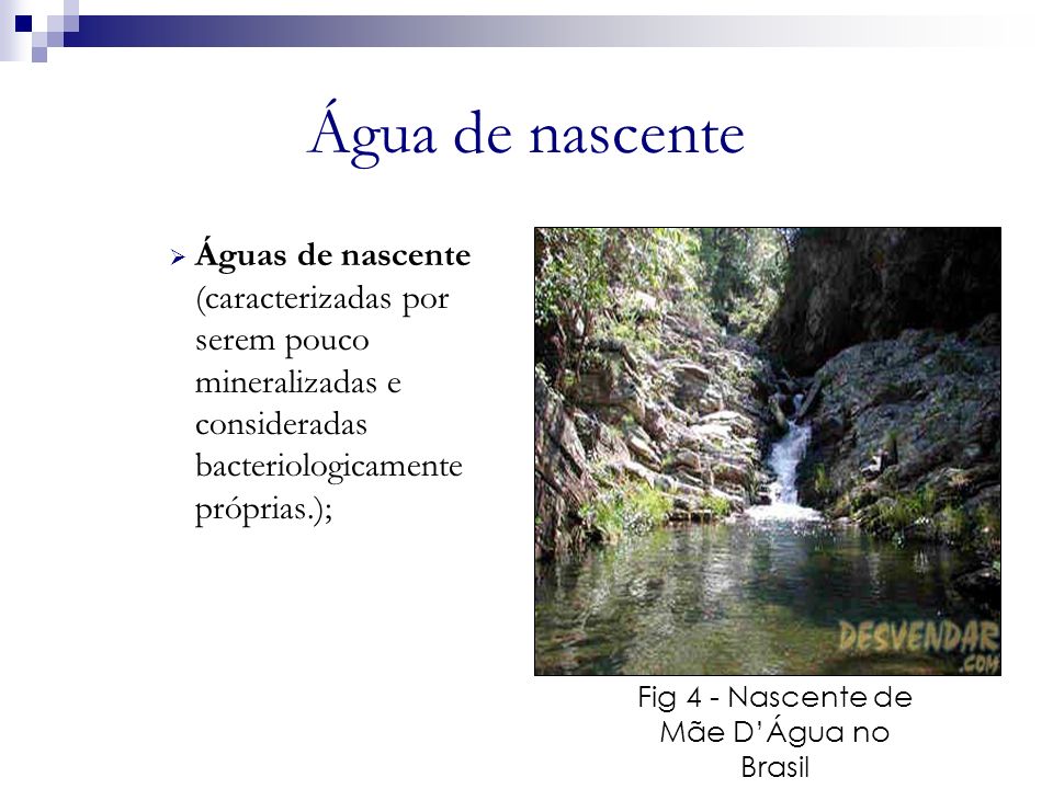 Fig 4 - Nascente de Mãe D’Água no Brasil