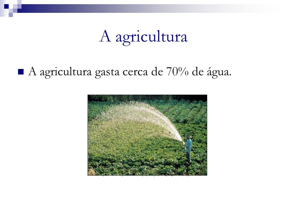 A agricultura A agricultura gasta cerca de 70% de água. a