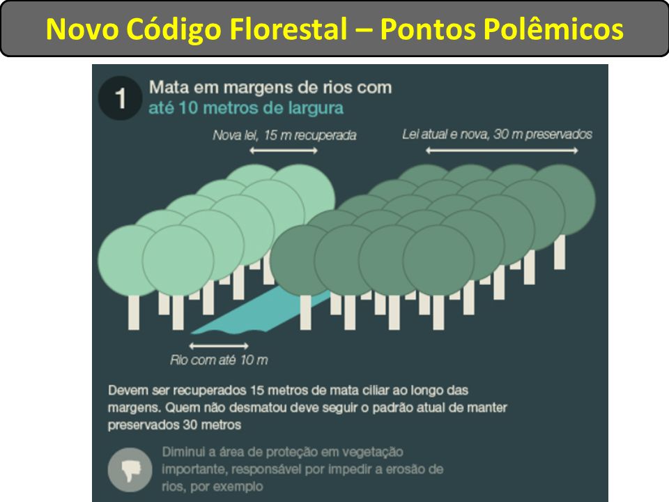 Novo Código Florestal – Pontos Polêmicos