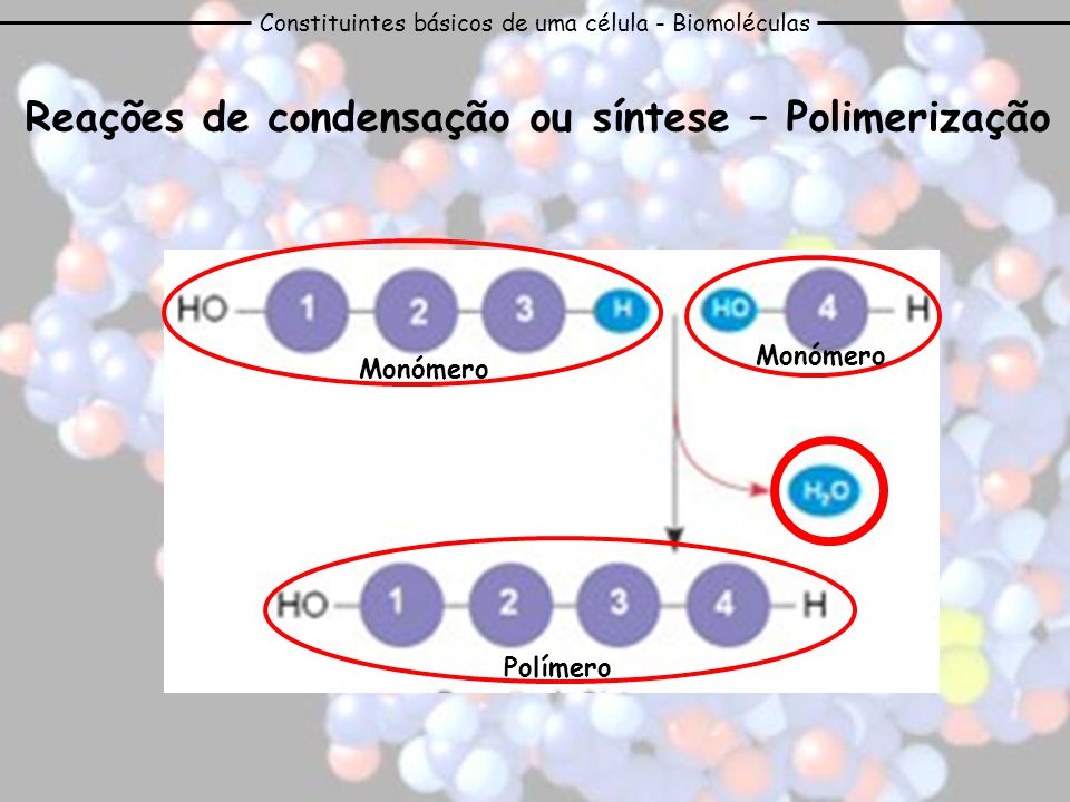 Reações de condensação ou síntese – Polimerização