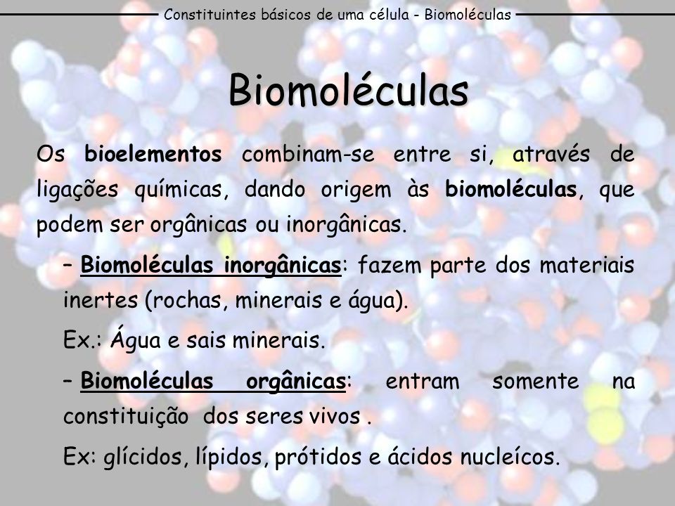 Constituintes básicos de uma célula - Biomoléculas