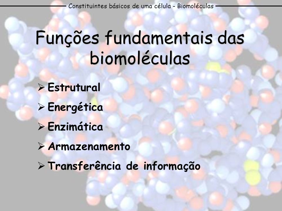 Funções fundamentais das biomoléculas