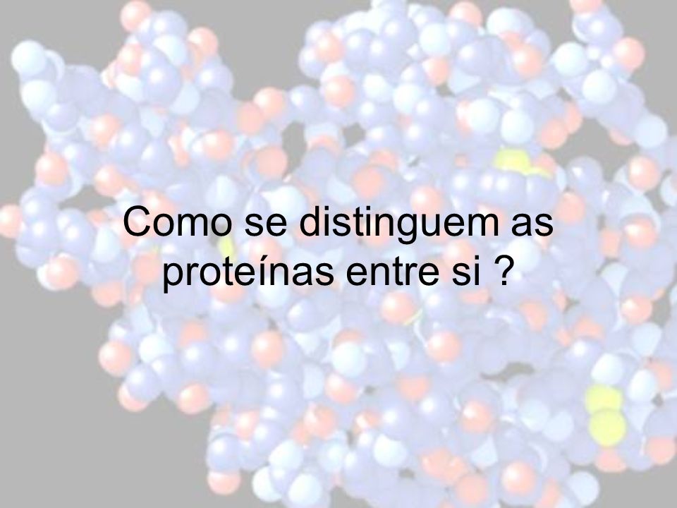 Como se distinguem as proteínas entre si