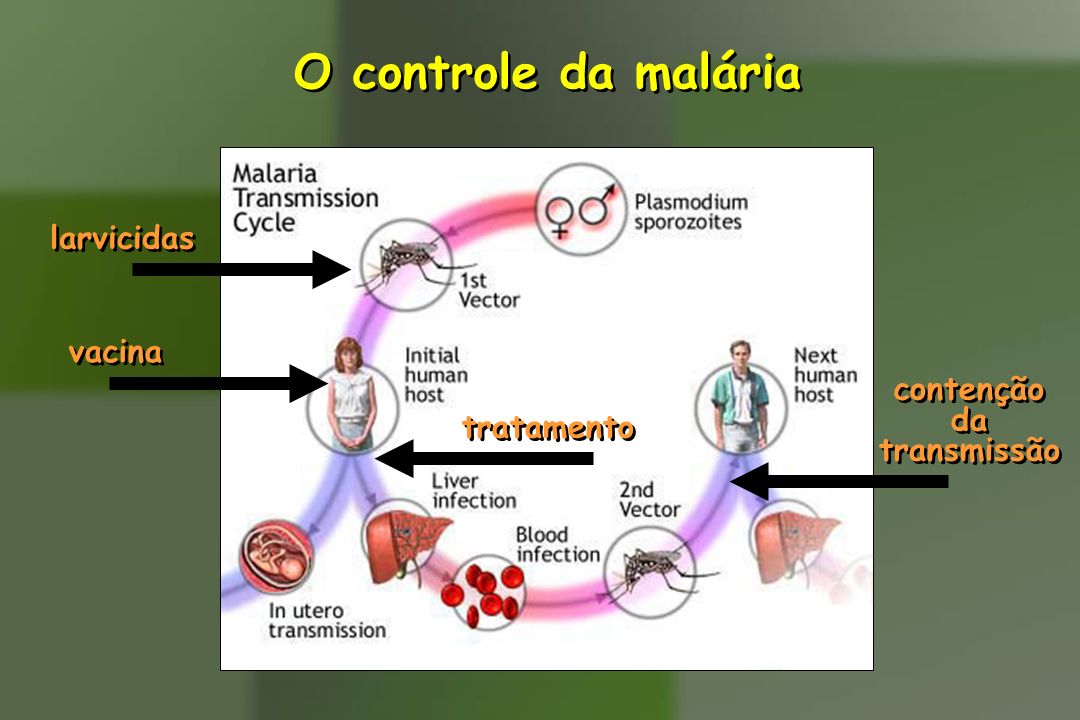 Tuberculose Tísica (do grego phthiso- decair,consumir, definhar) - ppt  video online carregar