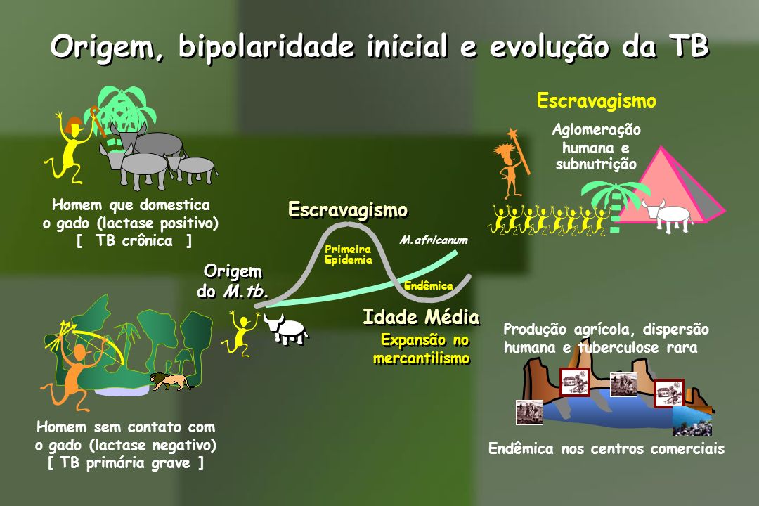 Tuberculose Tísica (do grego phthiso- decair,consumir, definhar) - ppt  video online carregar