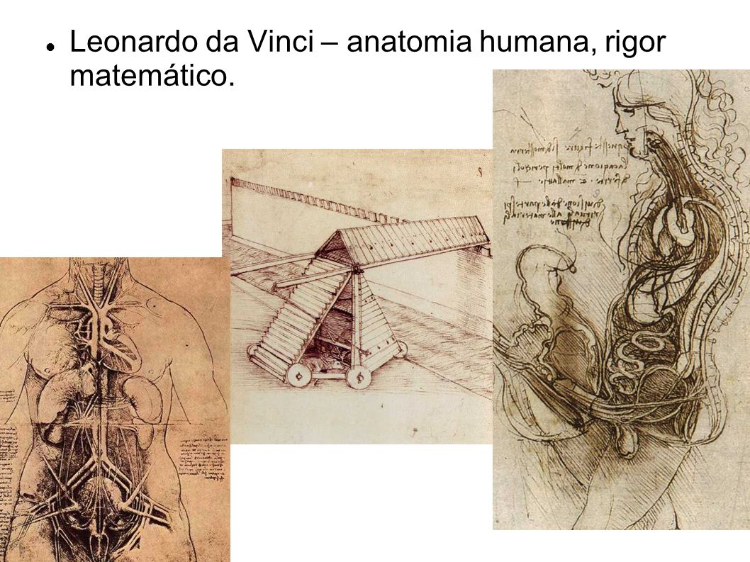 Leonardo da Vinci – anatomia humana, rigor matemático.