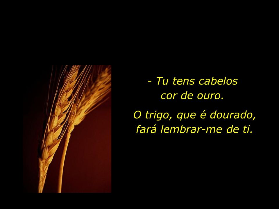 O trigo, que é dourado, fará lembrar-me de ti.