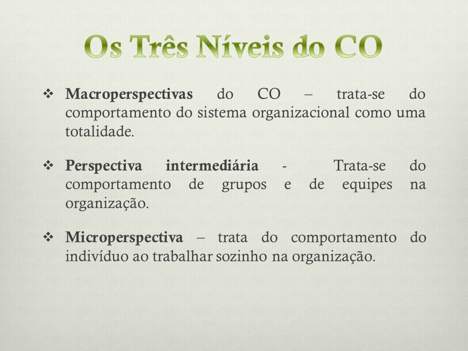 Os Três Níveis do CO Macroperspectivas do CO – trata-se do comportamento do sistema organizacional como uma totalidade.