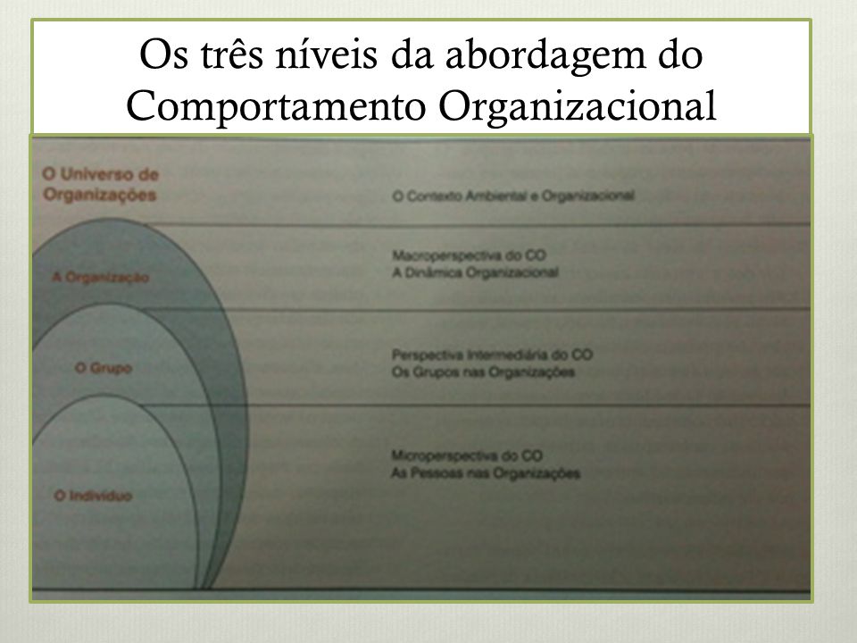 Os três níveis da abordagem do Comportamento Organizacional