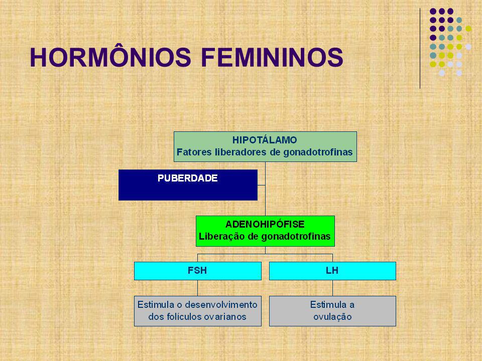 HORMÔNIOS FEMININOS