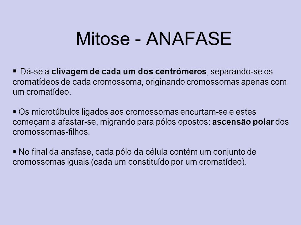Mitose - ANAFASE